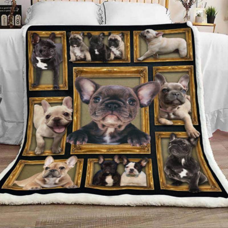 French Bulldog Sherpa Blanket JR0802 68O49