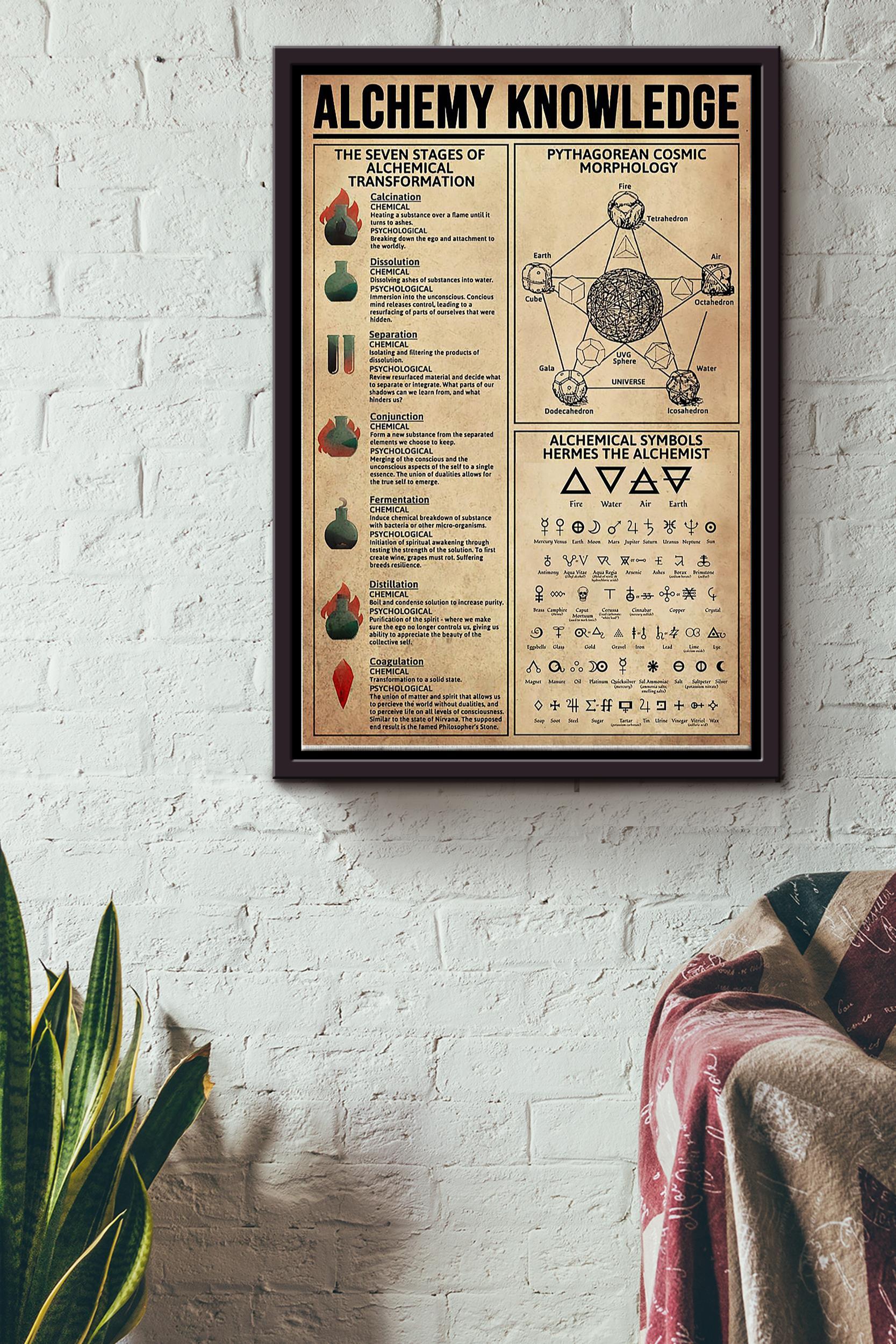 Witch Alchemy Knowledge Poster Framed Matte Canvas