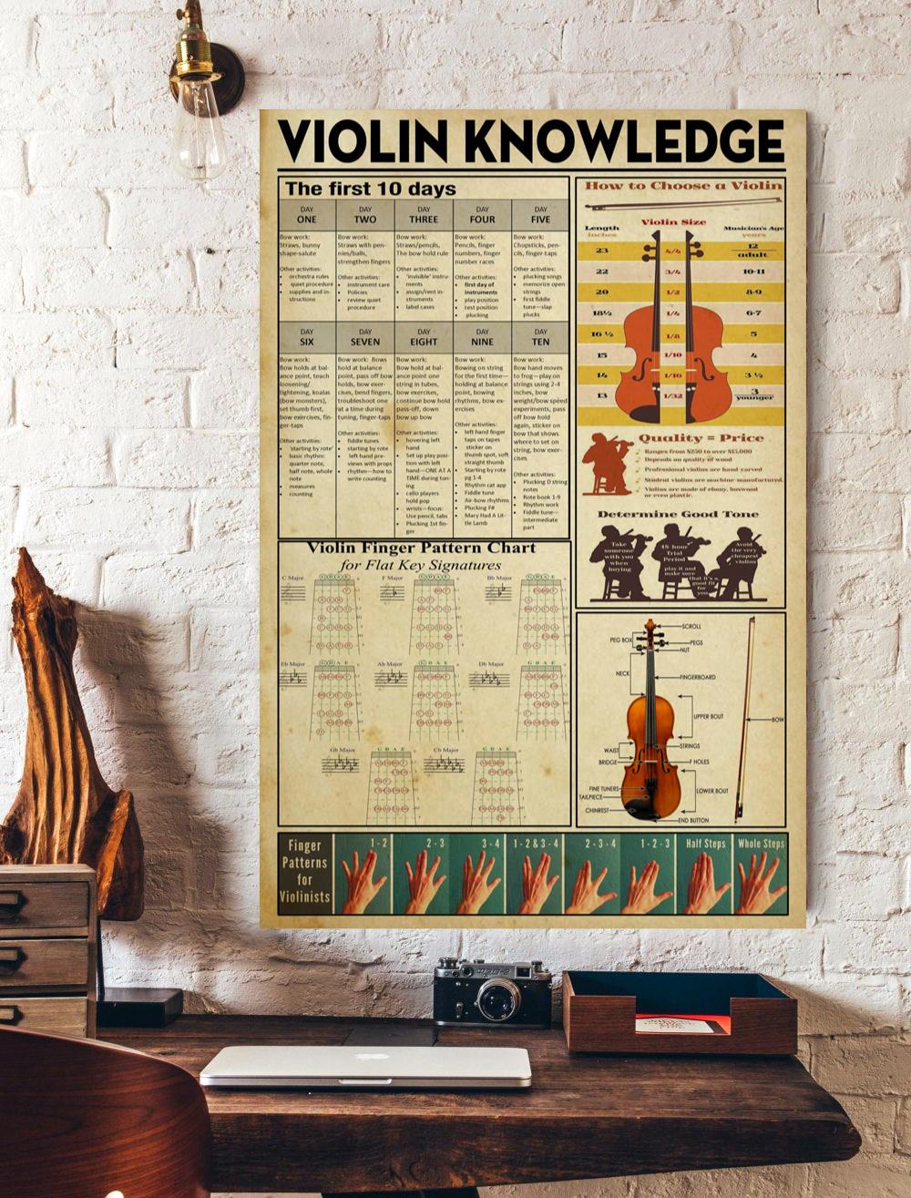 Violin Knowledge Poster