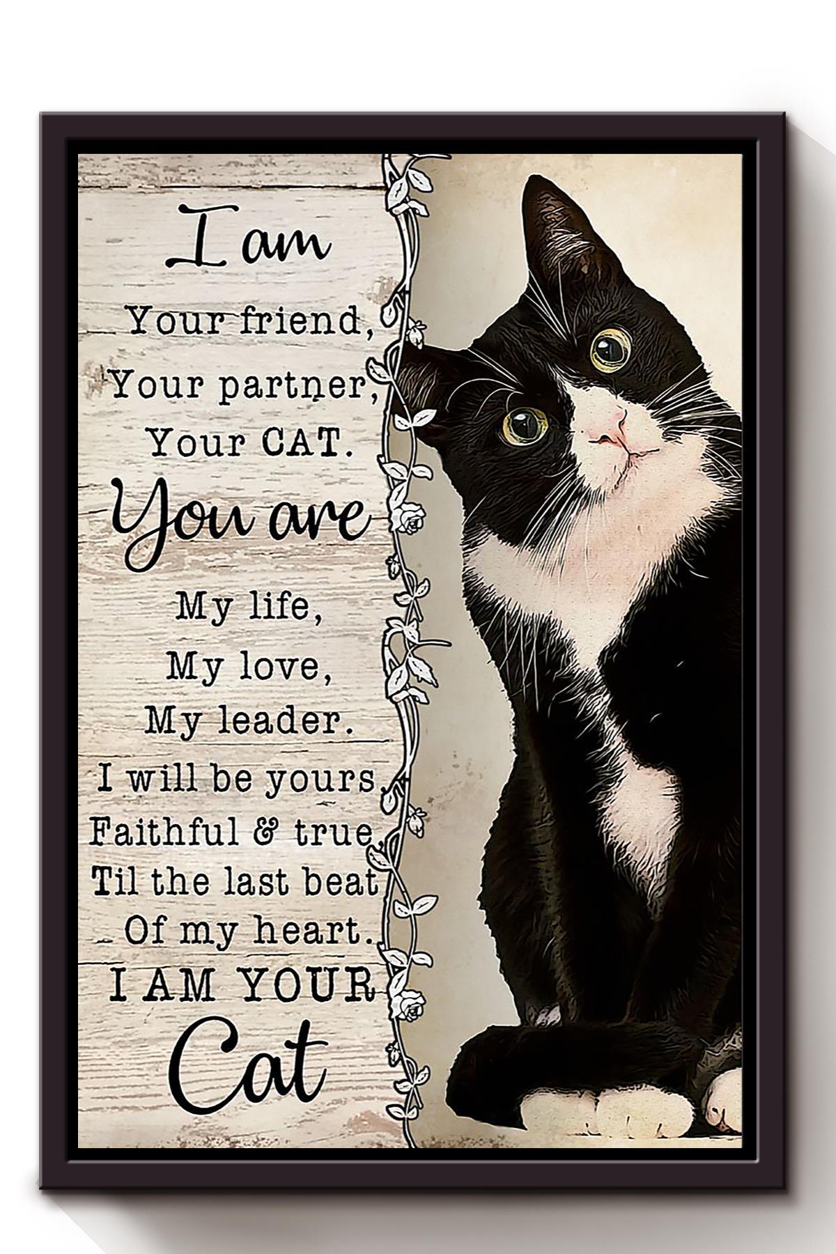 Cat Lover Im Your Cat Animal Wall Art Gift For International Cat Day Kitten Foster Framed Canvas