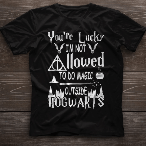 You Re Lucky I M Not Allowed To Do Magic Outside Hogwarts T Shirt