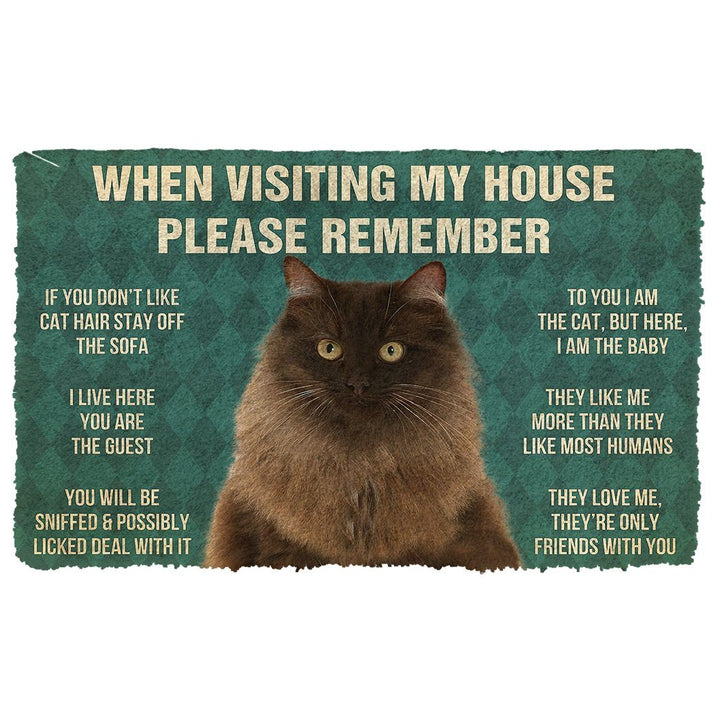 Waybackapparel Please Remember Persian Cat House Rules 3D Doormat