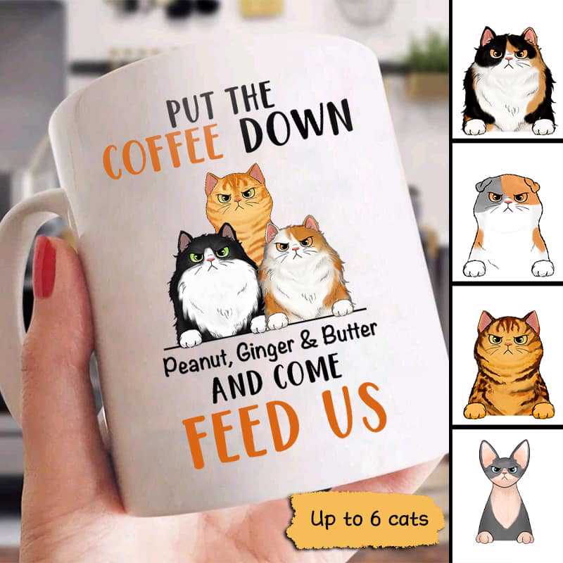 Fluffy Cats Put The Coffee Down Personalized Mug