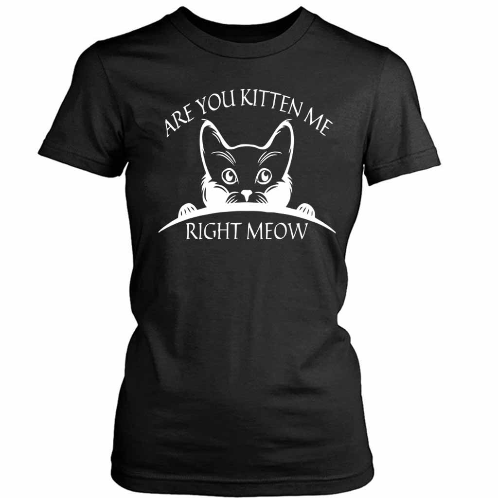 Are You Kitten Me Right Meow Cool Women’s Tee T-Shirt