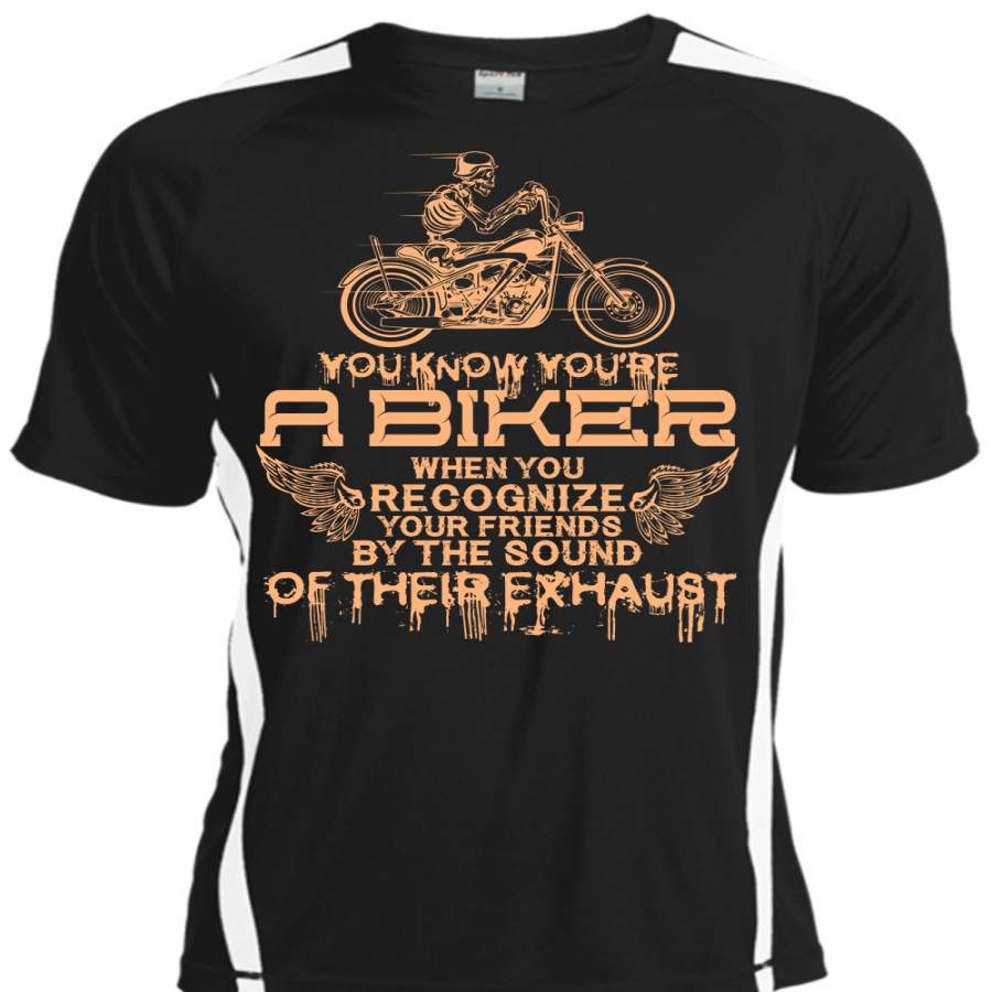 You Know You’re A Biker T Shirt, You Recognize Your Friends T Shirt, Cool Shirt