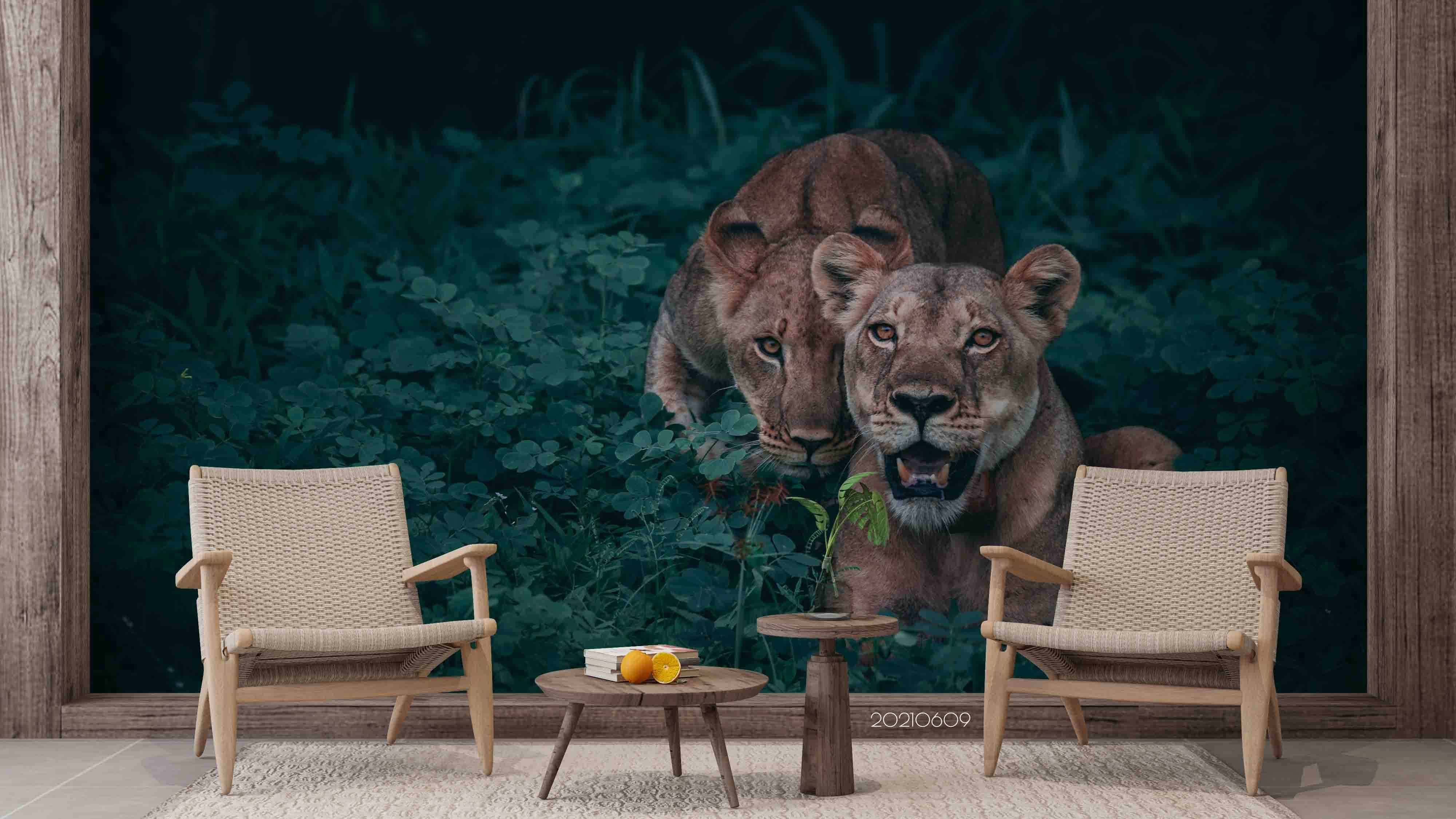 3D Africa  Grassland Lion Wall Mural Wallpaper Sww1673