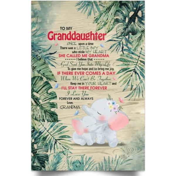 Grandma To My Granddaughter Once Upon A Time There Was A Little Girl Who Stole My Heart Framed Canvas – Unframed Poster