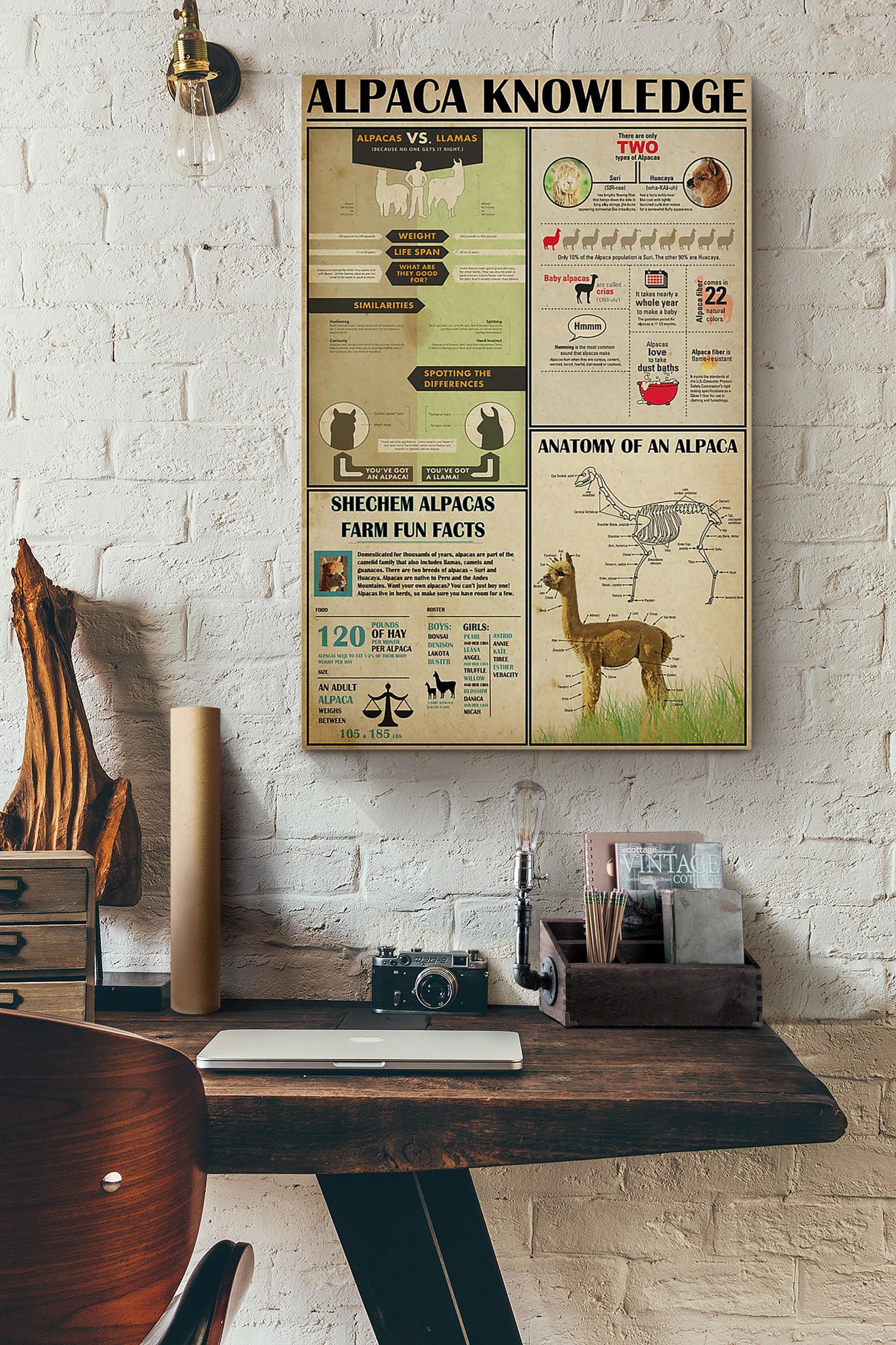 Alpaca Knowledge Poster