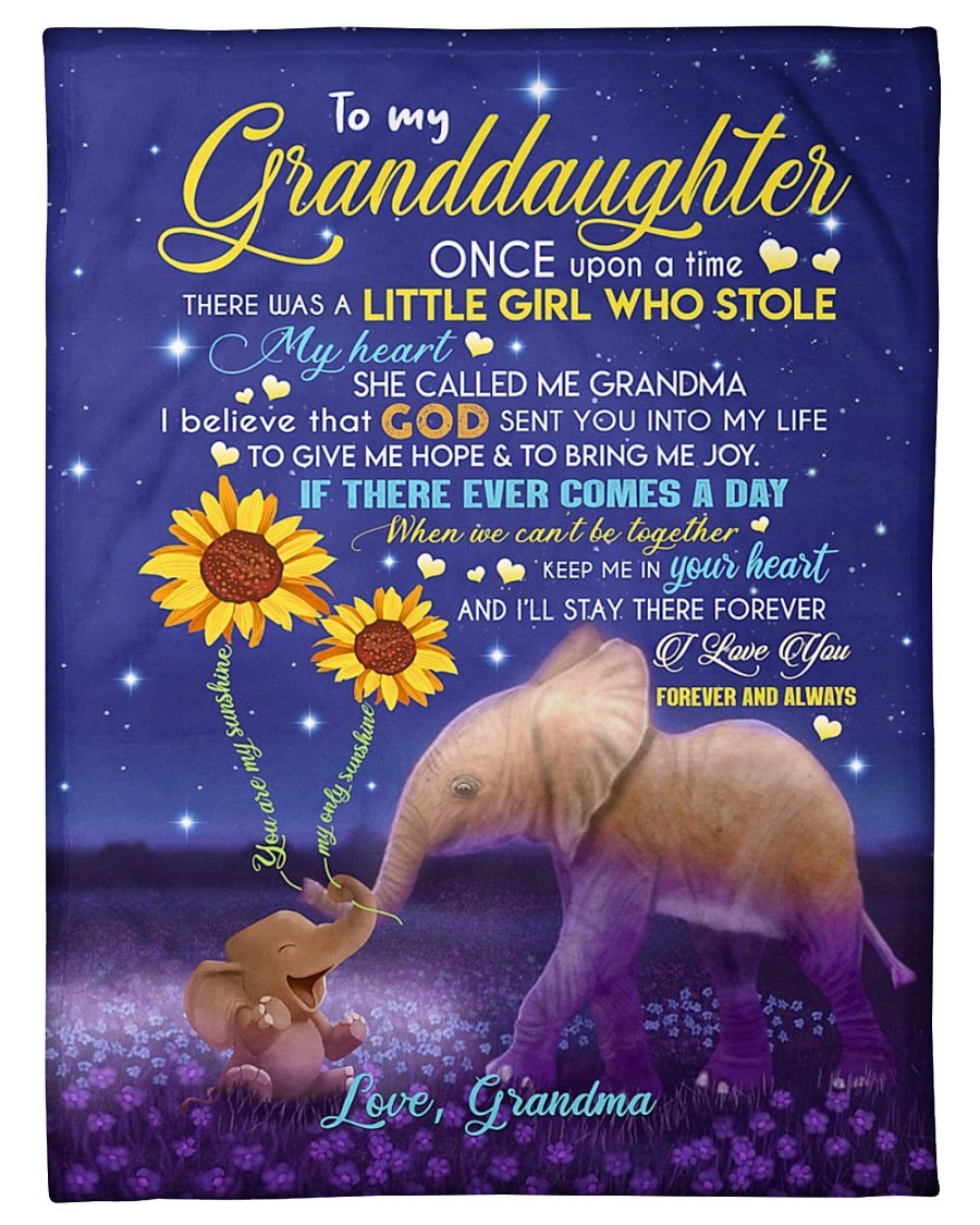 To My Granddaugher Once Upon A Time There Was A Little Girl Who Stole My Heart Elephant Blanket