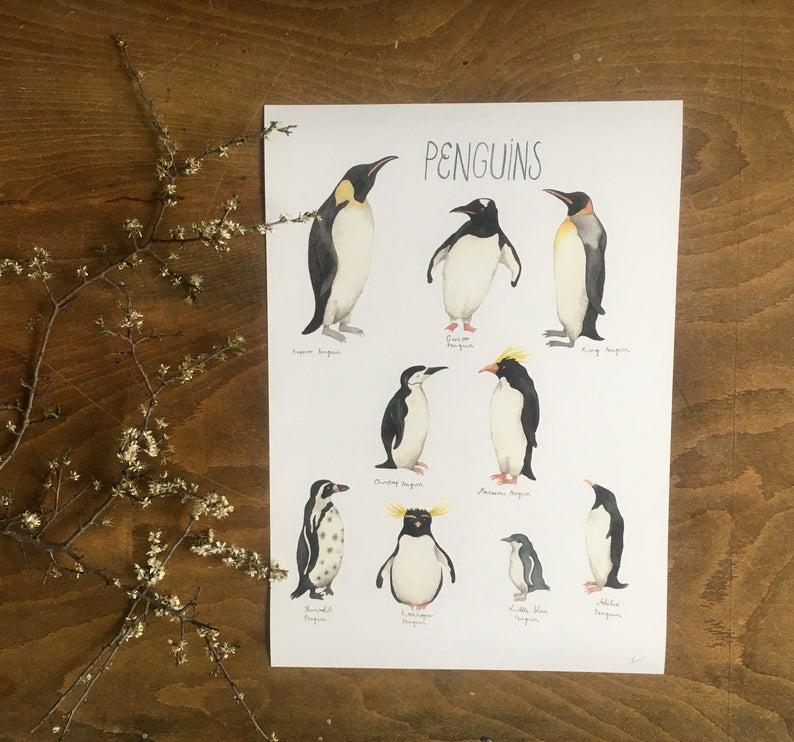 Penguins, Pingviner, Animals, Arctic Animals, Poster, Childrens Room