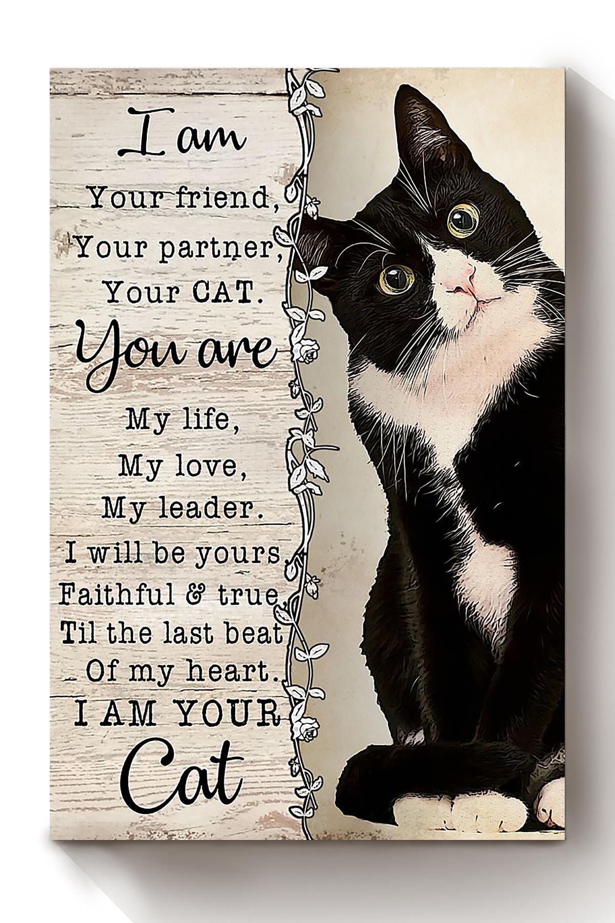 Cat Lover Im Your Cat Animal Wall Art Gift For International Cat Day Kitten Foster Canvas