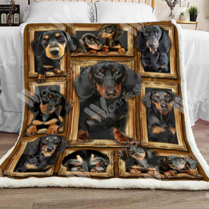 Dachshund Dog Sherpa Blanket DCB1701 81O60