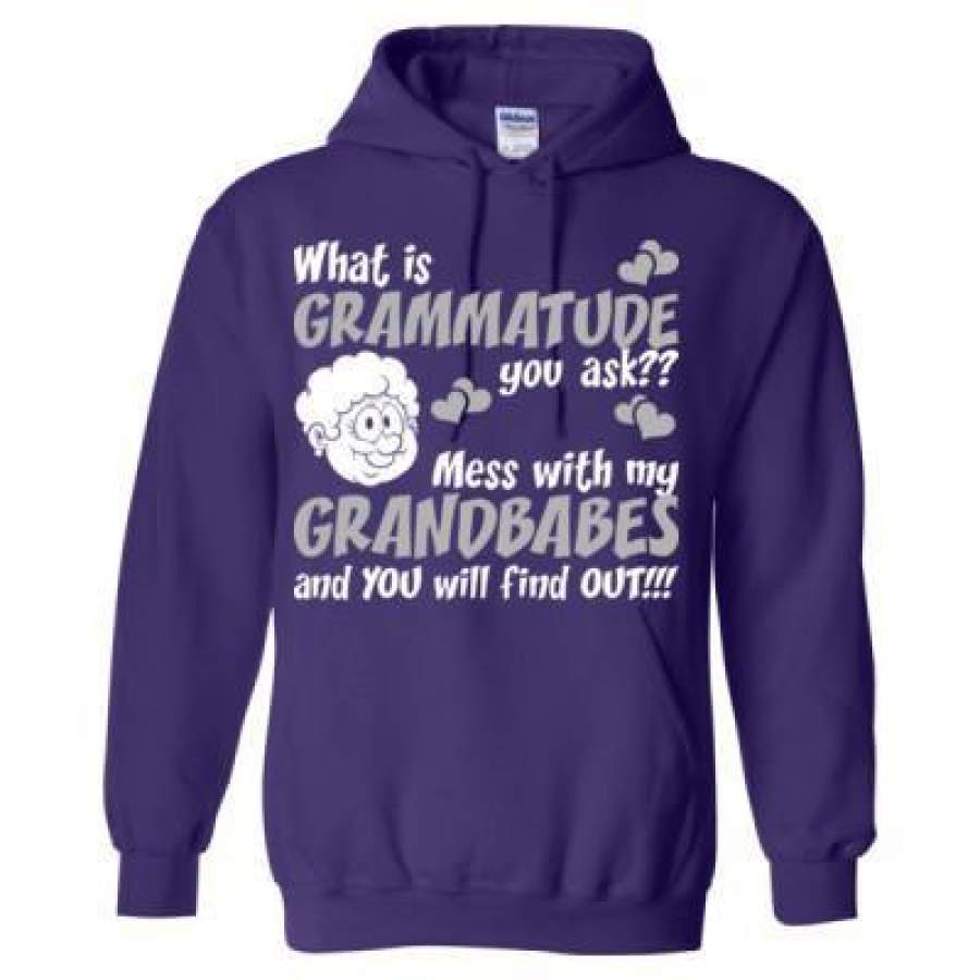 AGR What Is Grammatude You Ask Mess With My Grandbabes And You Will Find Out – Heavy Blend™ Hooded Sweatshirt