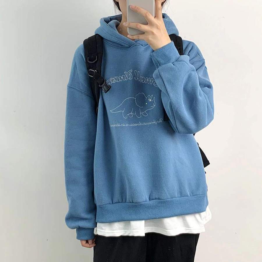 Small Dinosaur Embroidered Hoodie