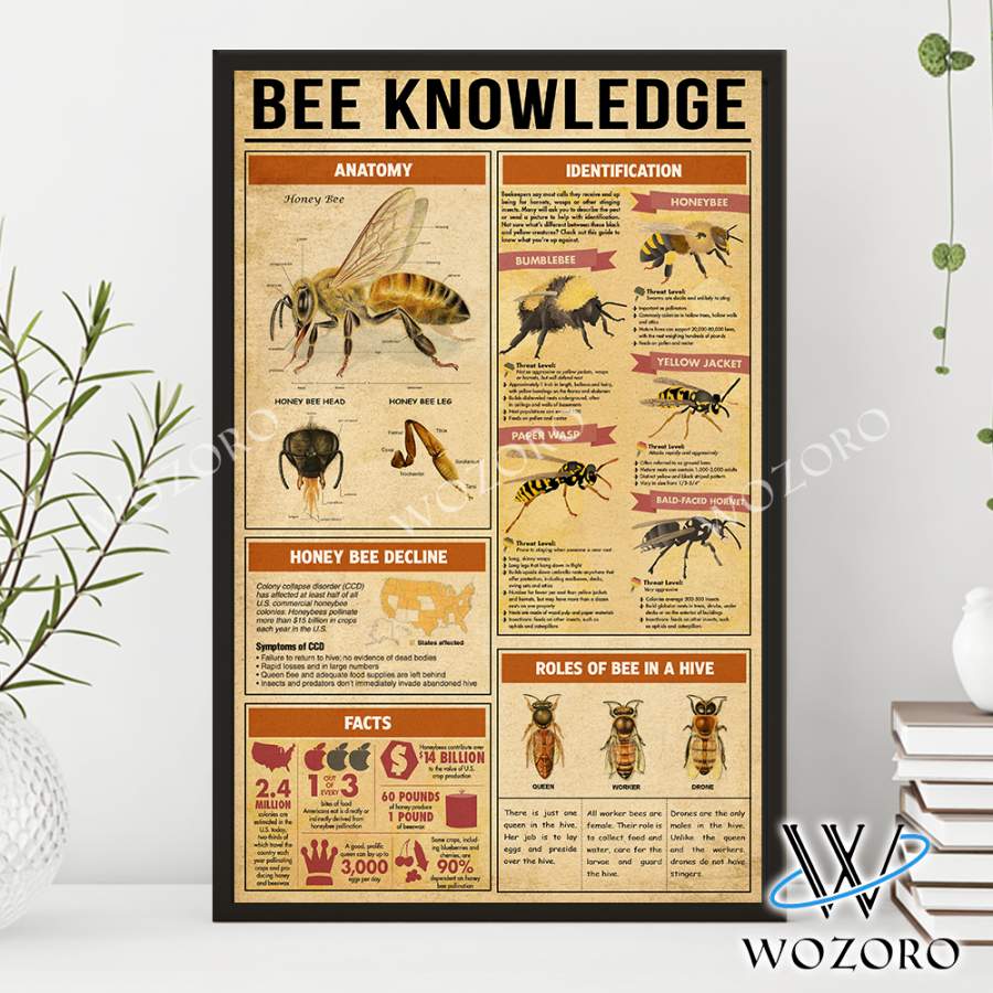 Wozoro Poster Bee Knowledge Including Anatomy And Roles Of Bee In A Hive Size 11×17, 16×24, 24×36 inch