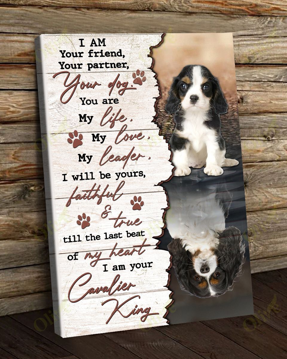 I Am Your Amazing Cavalier King Canvas And Poster | Wall Decor Visual Art