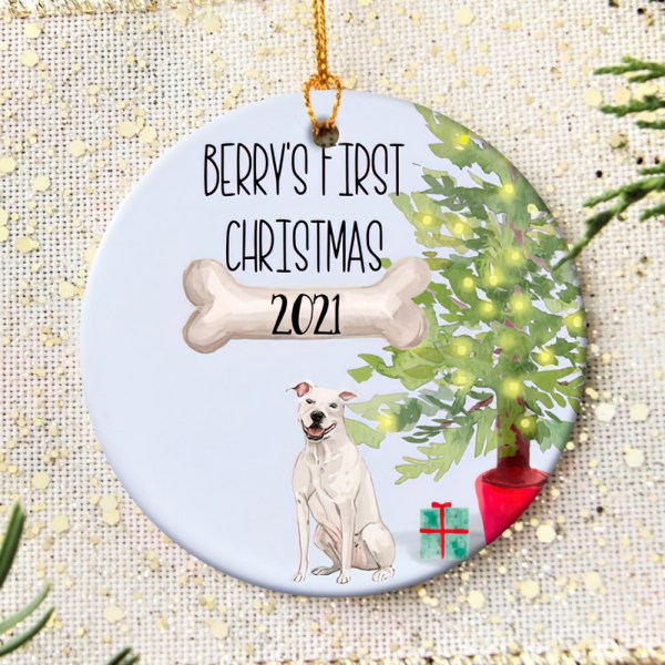 Personalized White Pit Bull Puppy’S First Christmas Ornament, White Pit Bull Ornament