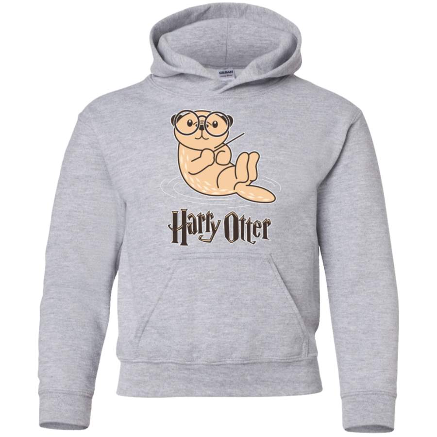 AGR Harry otter Youth Pullover Hoodie