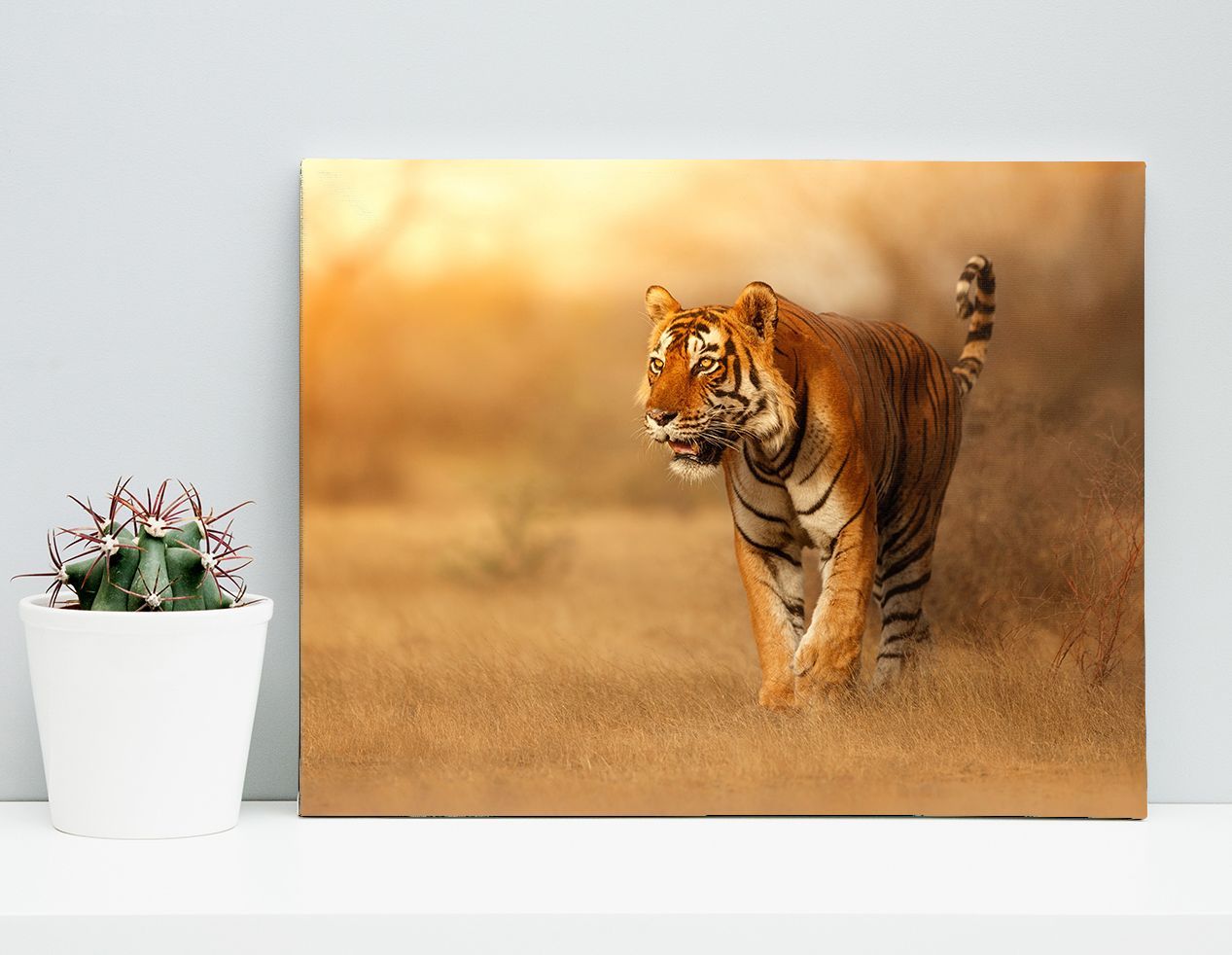 Beautiful Tiger Canvas And Poster | Wall Decor Visual Art