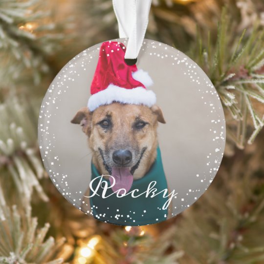 Personalized Pet Dog Puppy Holiday Photo Ornament