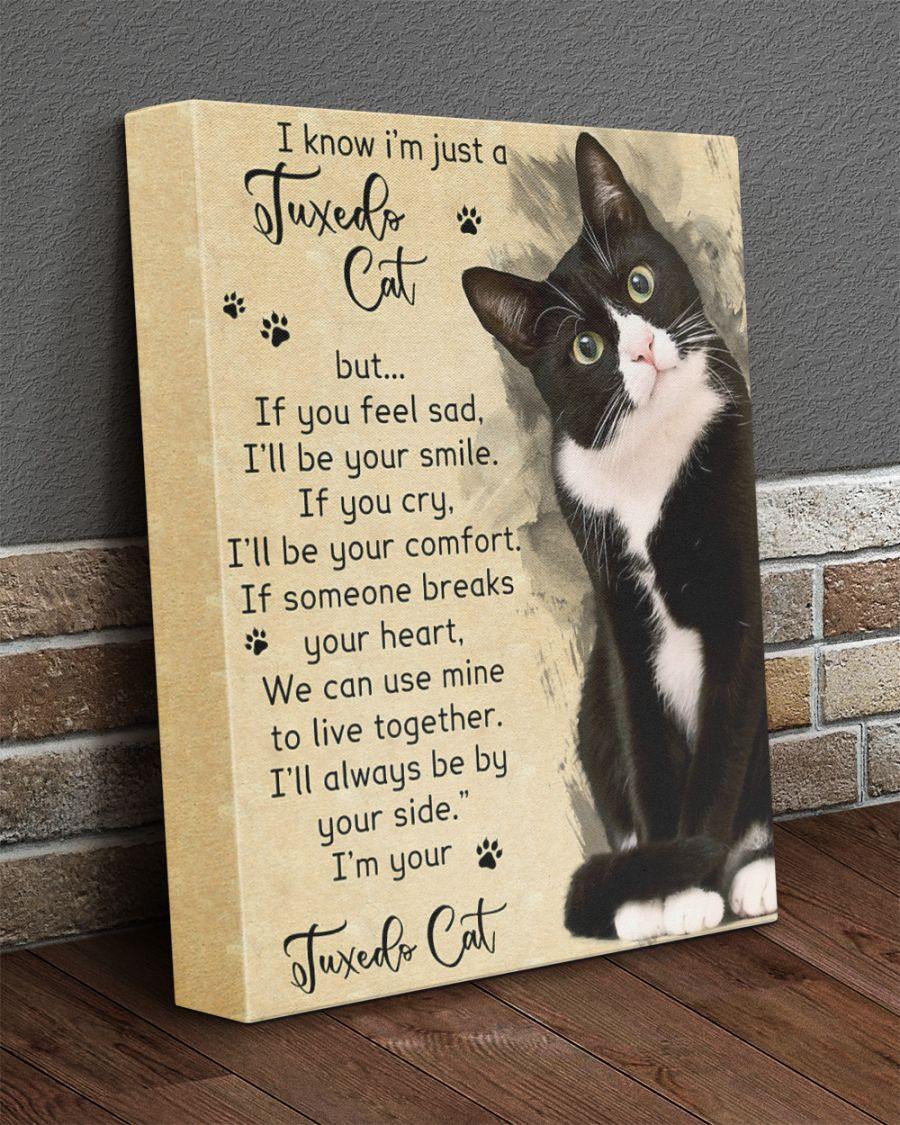 Animal Canvas – Dog/Cat Canvas – I Know I’M Just A Tuxedo Cat Canvas Prints Wall Art – Anniversary, Birthday, Christmas Gift