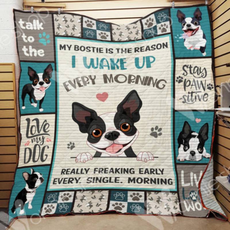 Boston Terrier Dog Blanket NOV2901 69O57