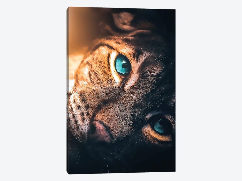 The Aqua Blue Eyed Leopard Canvas Poster 8″x12″ 12×18″ 18″x26″ 24″x36″ 30″x45″