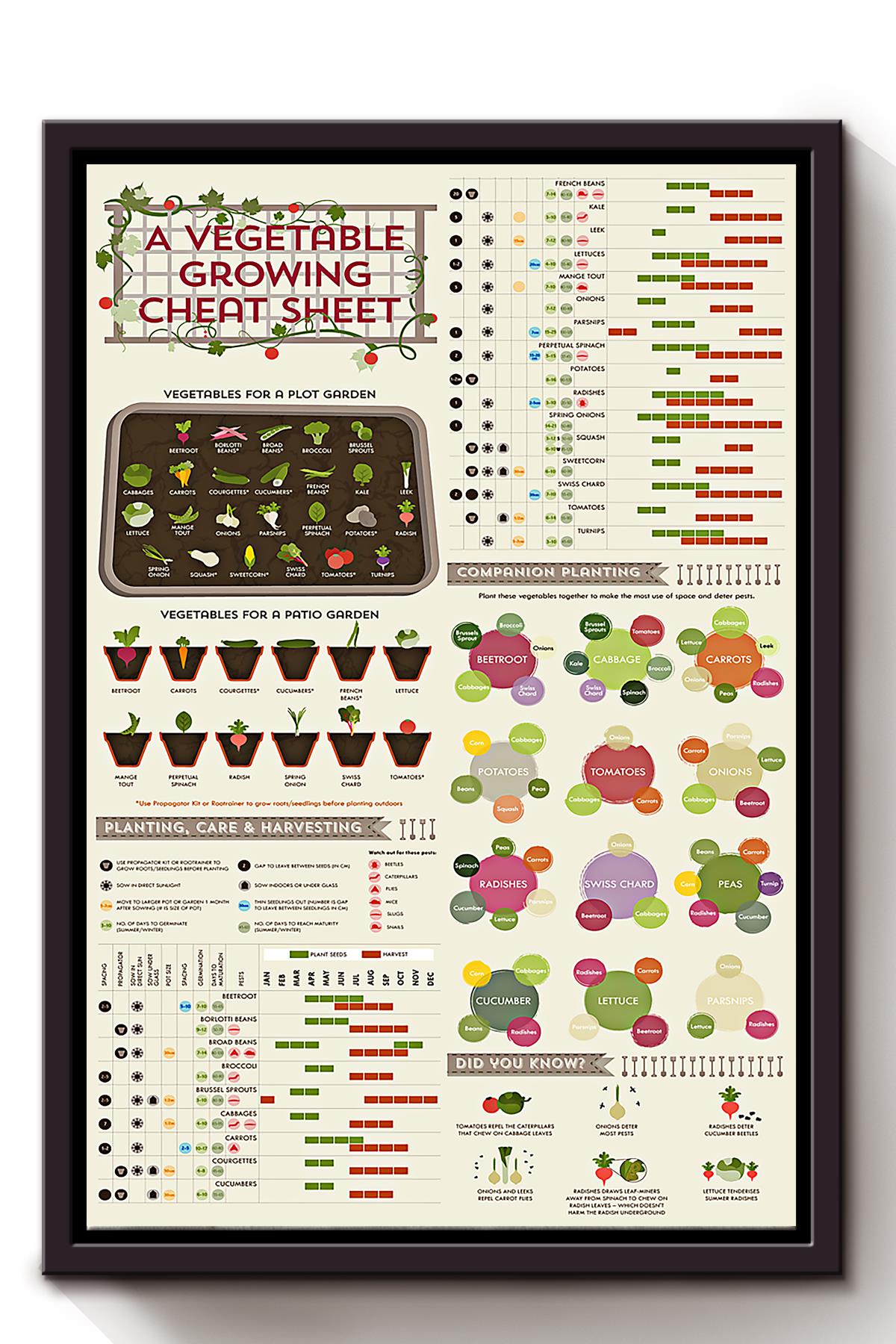 A Vegetable Growing Cheat Sheet Gardening Knowledge Wall Art For Gardener Farmer Farmhouse Decor Framed Matte Canvas