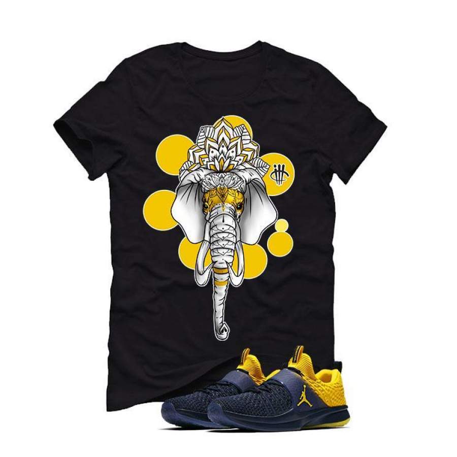 Jordan Trainer 2 Flyknit Michigan Black T (ELEPHANT) T-shirt