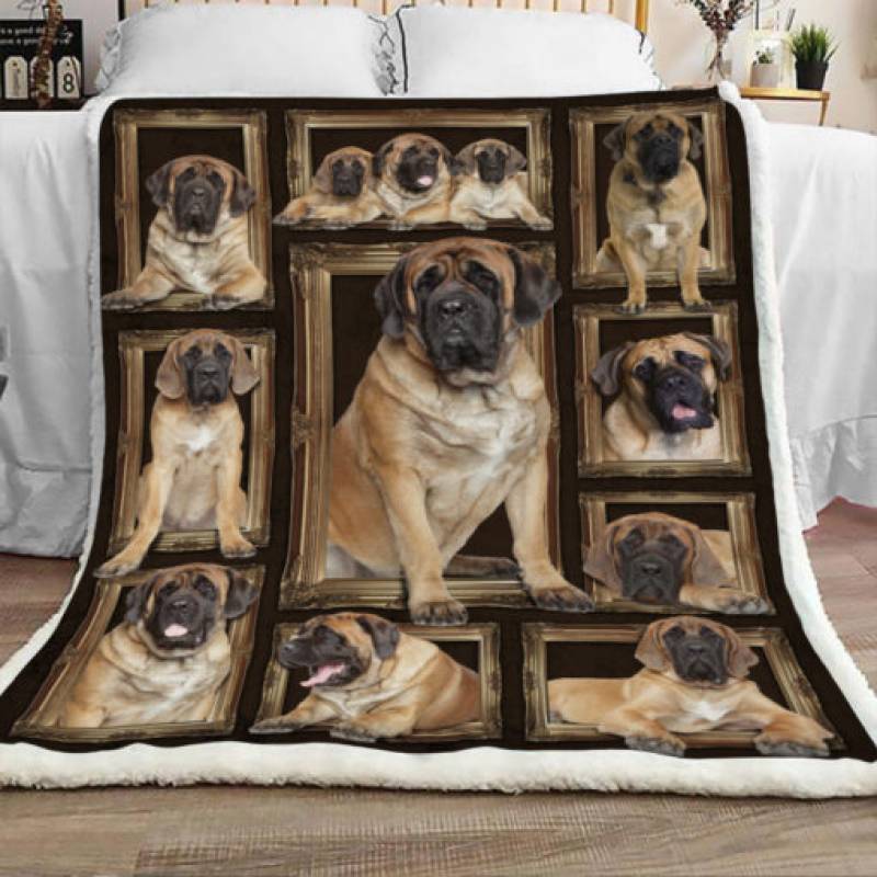 English Mastiff Dog Sherpa Blanket JR0202 67O39