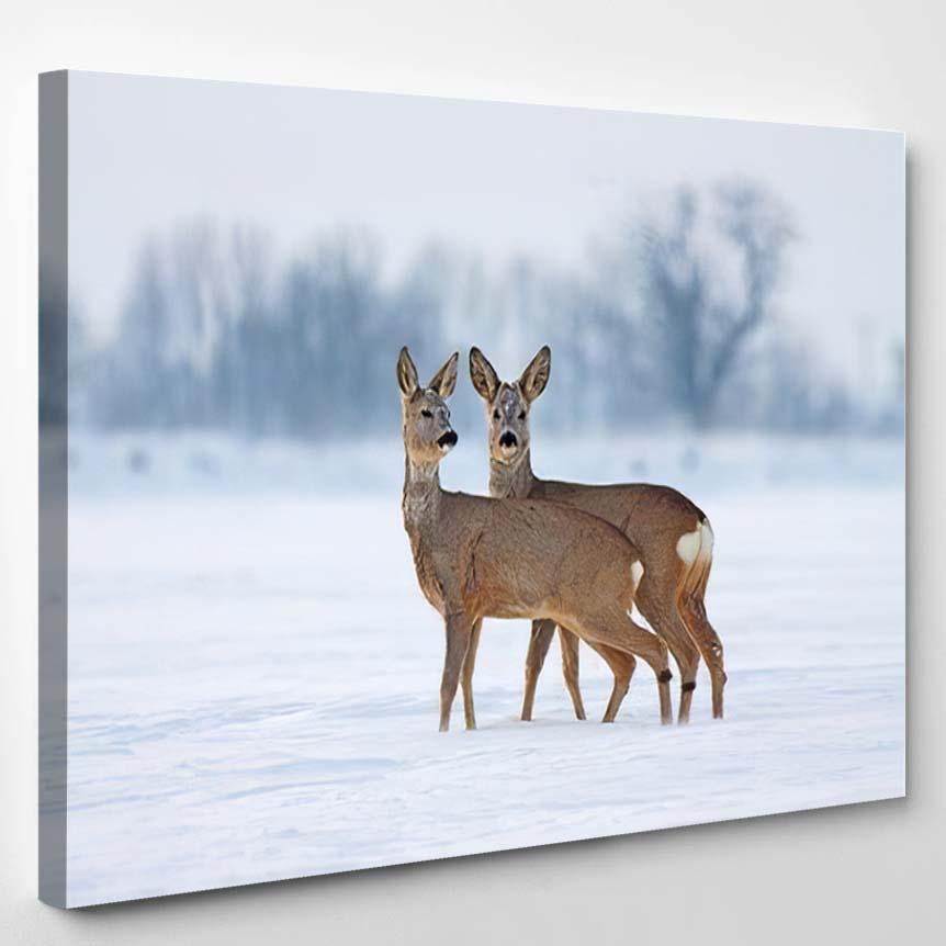 Young Roe Deer Capreolus Winter Snowy – Deer Animals Canvas Print