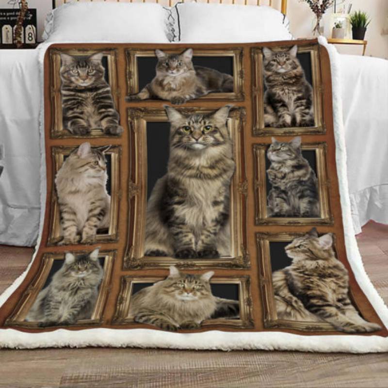 Maine Coon Cat Sherpa Blanket JR0802 73O31