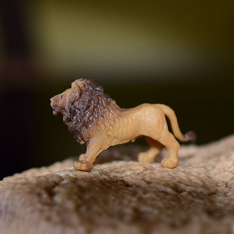 Fairy Garden Miniatures Accessories Decor Wild Animal Model Elephant Rhinoceros Lion Chameleon Tiger Action Figure Figurine Toys alx