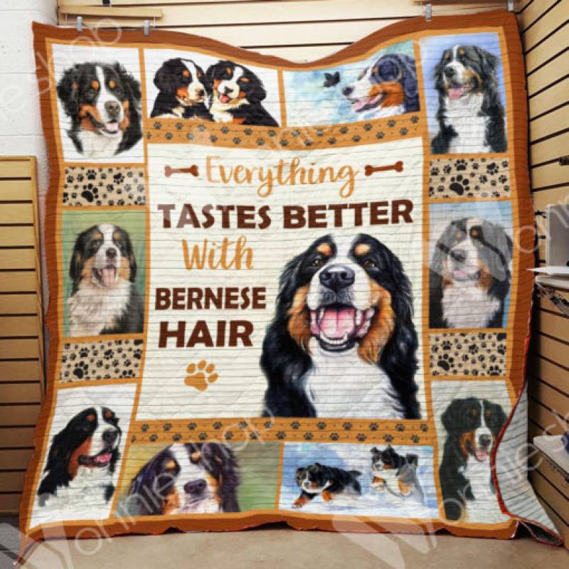 Bernese Mountain Dog Blanket DCB2101 73O59