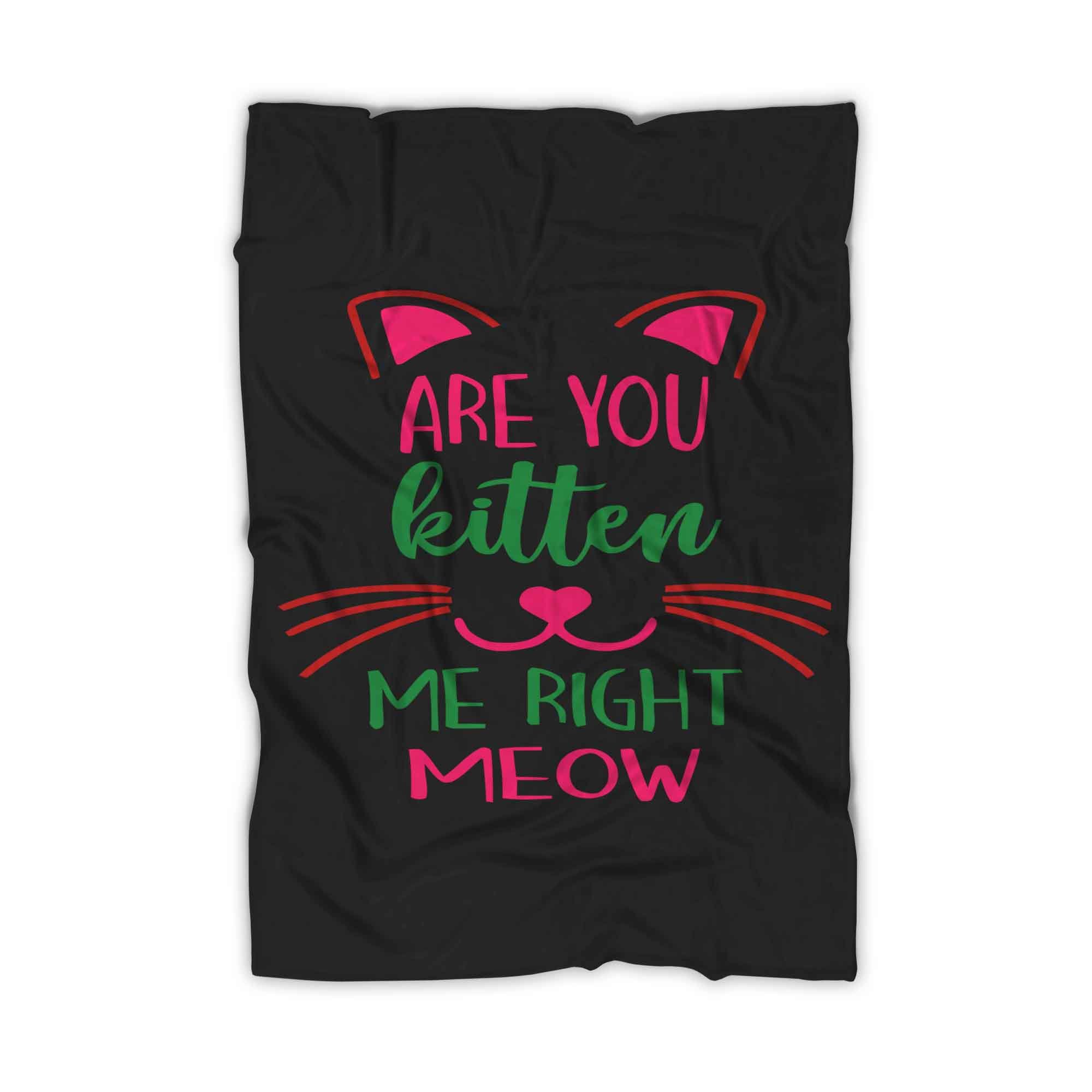 Are You Kitten Me Right Meow Aloen Blanket