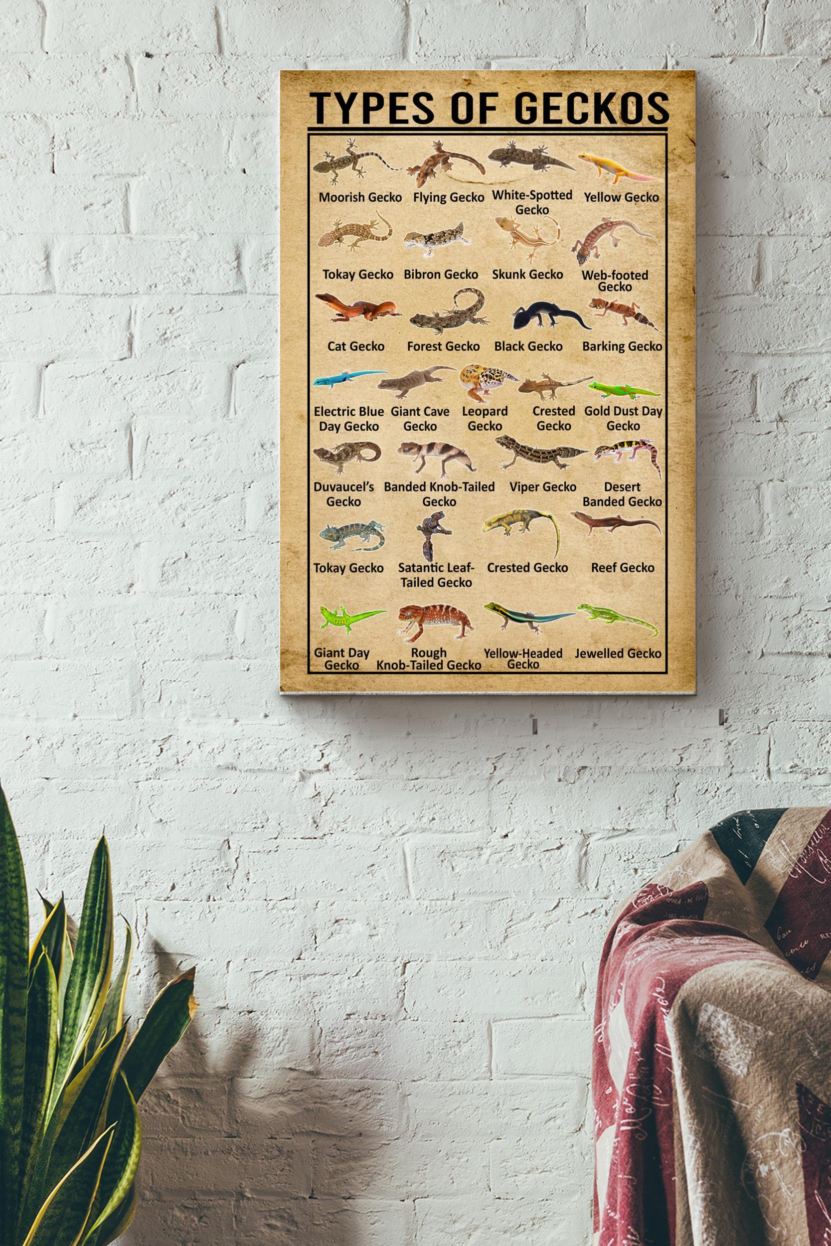 Types Of Geckos In The World Poster – Animal Wall Art – Gift For Geckos Lover Reptiles Lover Biologist Wrapped Canvas