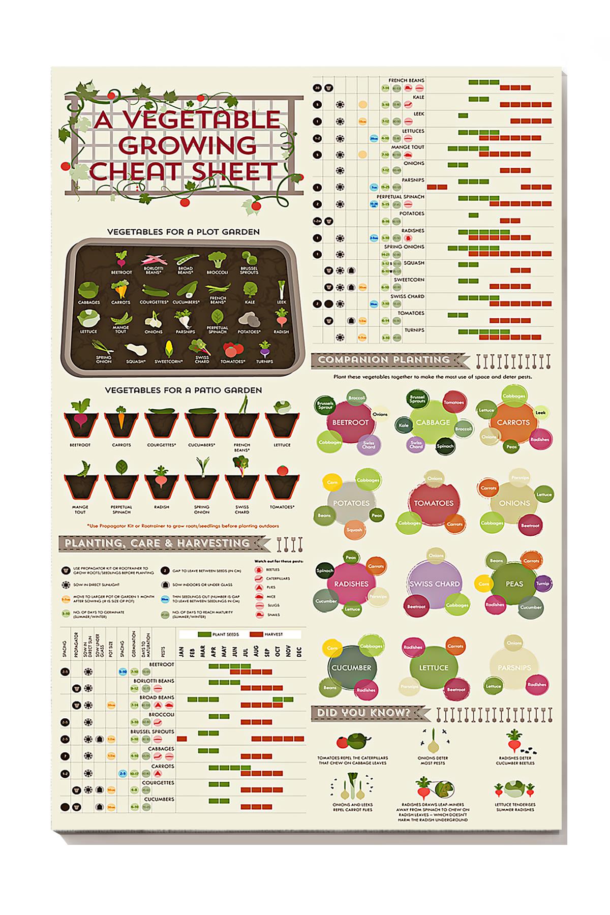 A Vegetable Growing Cheat Sheet Gardening Knowledge Wall Art For Gardener Farmer Farmhouse Decor Wrapped Canvas