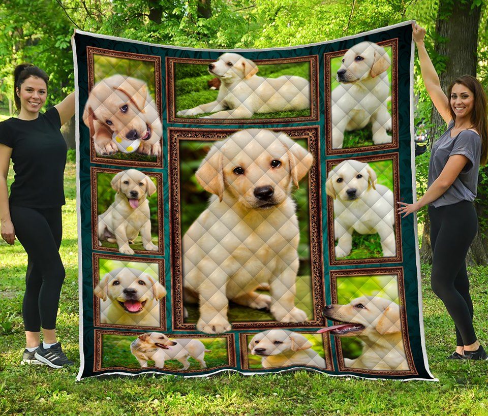 Labrador Dogs Cute Puppy Labrador Baby  Quilt Blanket