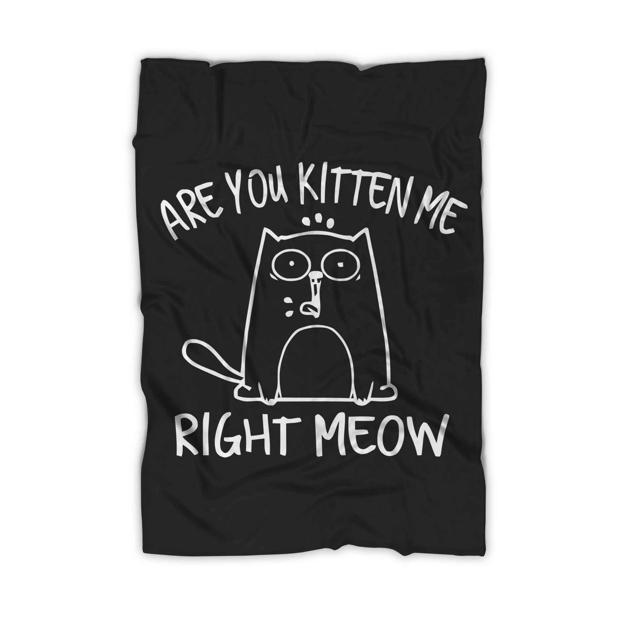 Are You Kitten Me Right Meow Cute Blanket