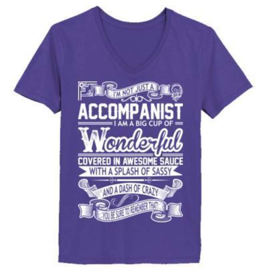 AGR Accompanist I Am A Big Cup Of Wonderful Covered In Awesome Sauce With A Splash Of Sassy And A Dash Of Crazy – Ladies’ V-Neck T-Shirt