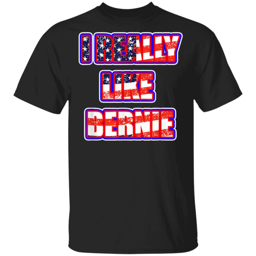 I REALLY LIKE BERNIE ILIKEBERNIE American Flag Text TShirt