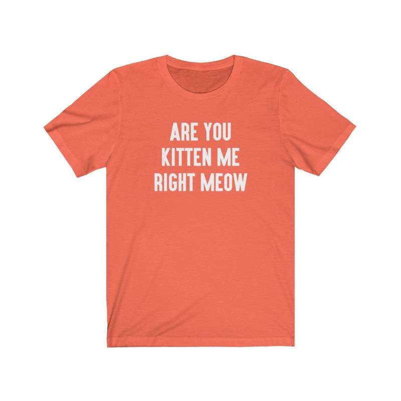 Crushtee Are You Kitten Me Shirt | Kitten T Shirt | Funny Shirt | Cat Mom Gift | Cat Lover Shirt | Meow Tee Long Sleeve Hoodie