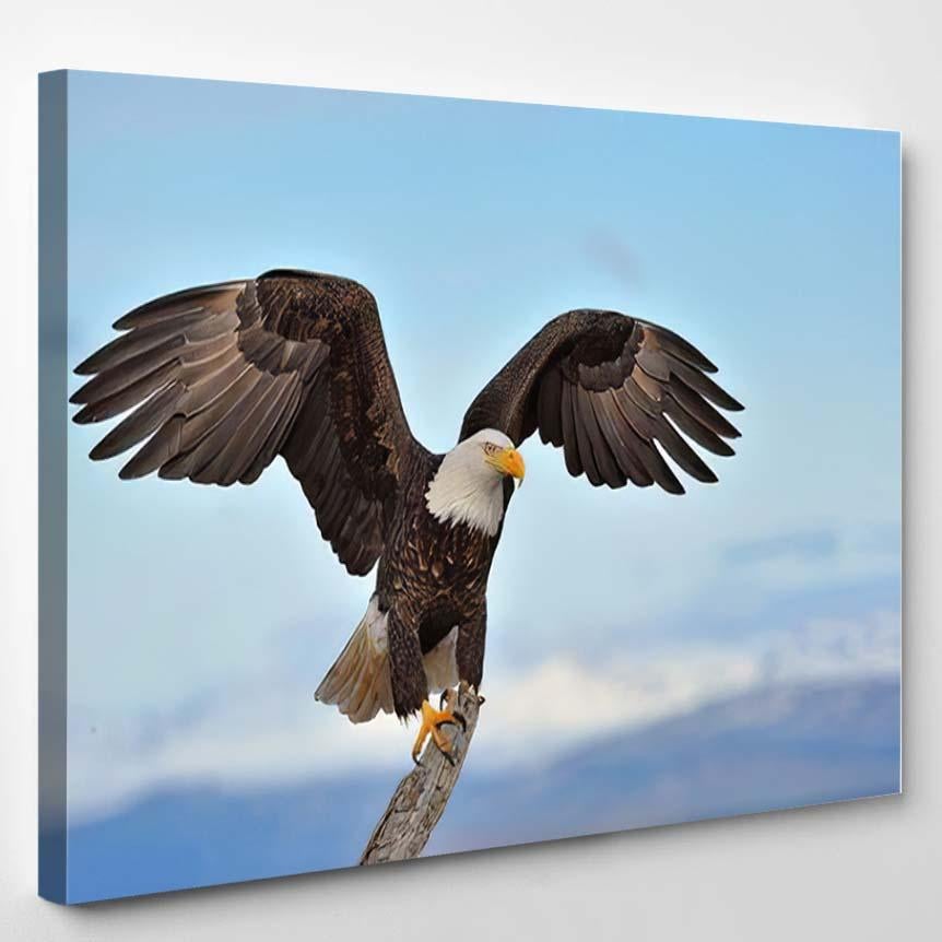 American Bald Eagle Wings Spread Perched – Eagle Animals Canvas Print