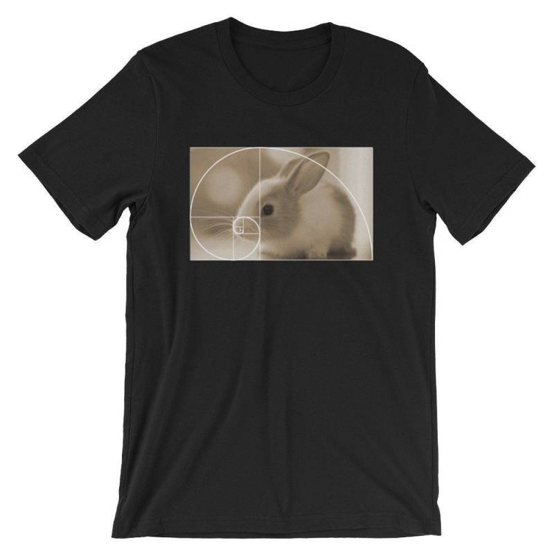 Crushtee Golden Ratio Bunny T Shirt | Fibonacci Spiral | Cute Bunny | Math Symbol Shirt | Bunny Unisex Shirt | Mathematics Ratio | Golden Ratio Long Sleeve Hoodie