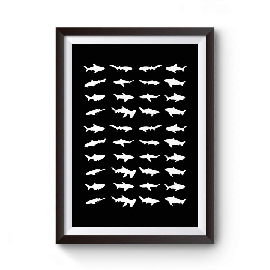 44 Sharks Organic Hammerhead Sevengill Poster