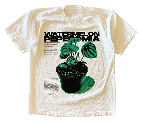 Watermelon Peperomia v1 Tee Shirt Outfit