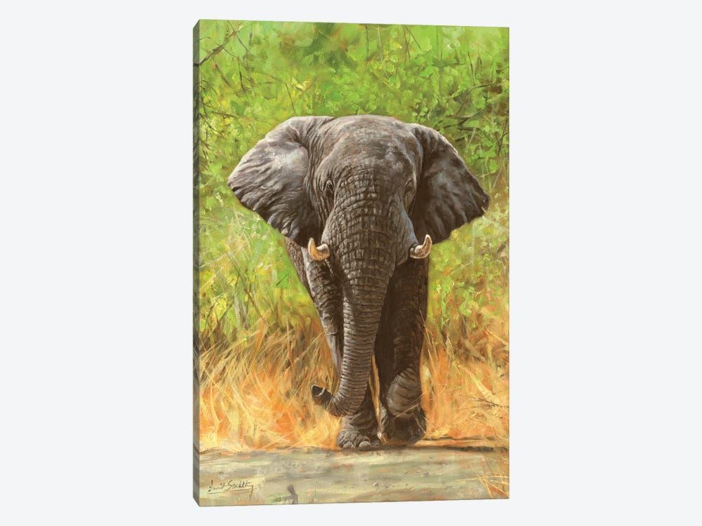 African Elephant Staredown Canvas Poster 8″x12″ 12×18″ 18″x26″ 24″x36″ 30″x45″