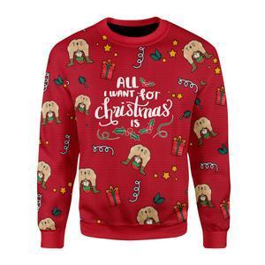 All I Want For Christmas Is You Ugly Christmas Sweater | Unisex | Adult | Us3306