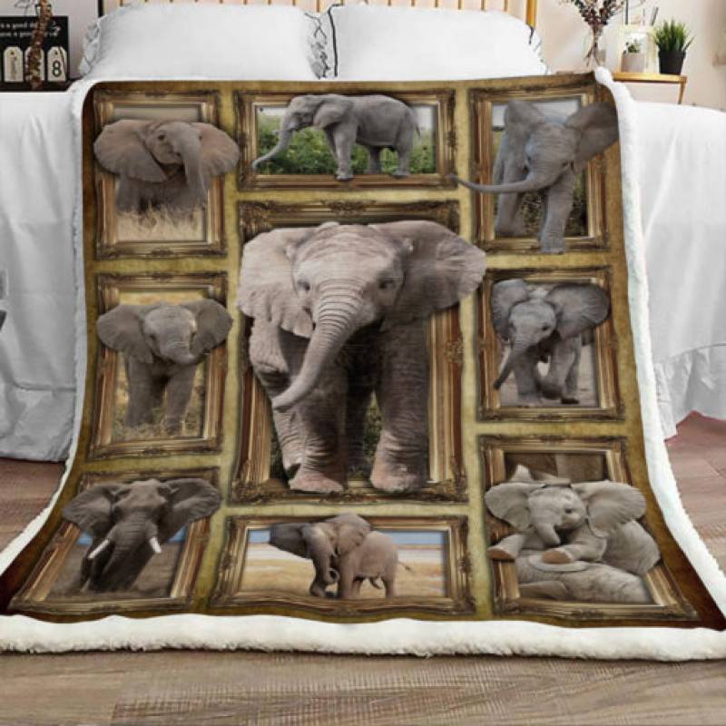 Elephant Sherpa Blanket JR0901 81O31