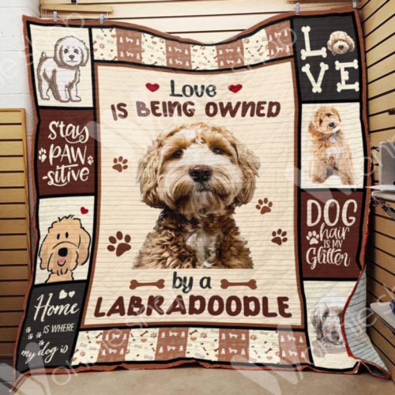 Labradoodle Dog Blanket NOV1602 77O58